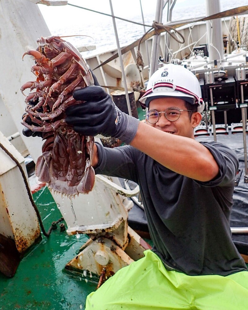 Исследователи обнаружили в индонезийских водах сверхгигантского «морского таракана»