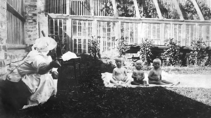 Дети Поповых во дворе дома возле оранжереи.