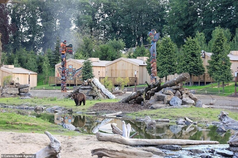 В бельгийском зоопарке открыли номера с видом на диких животных