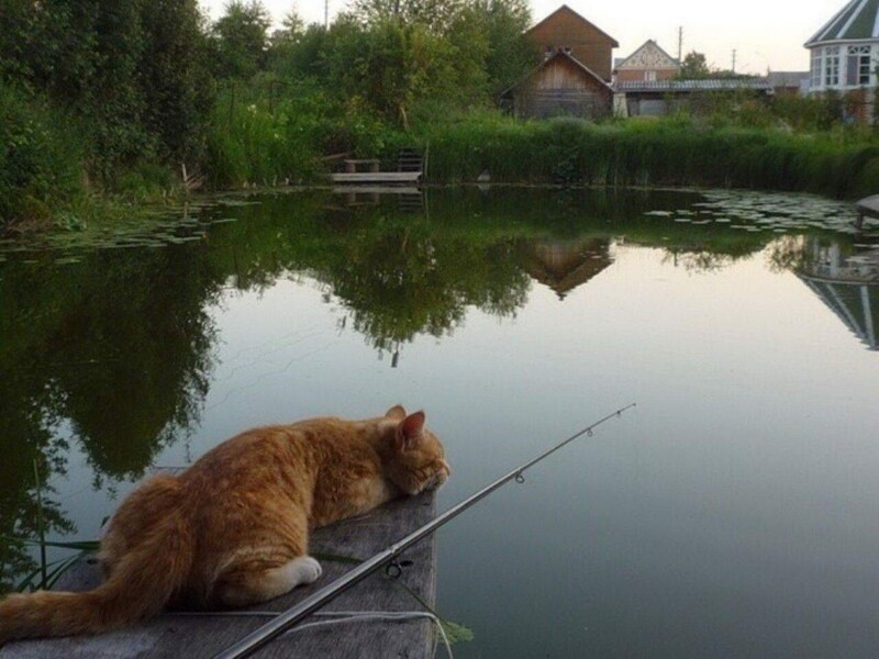 С добрым утром!