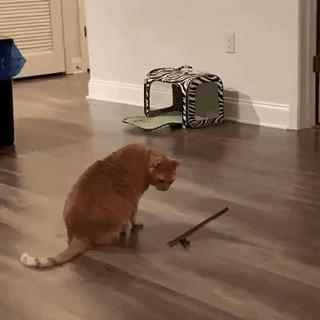 - Нуштош, буду играть сам