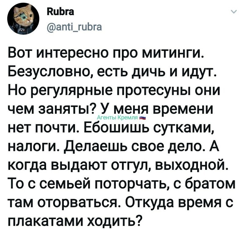 Политические комментарии из инета