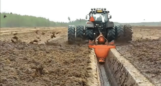 Гифки Гифки