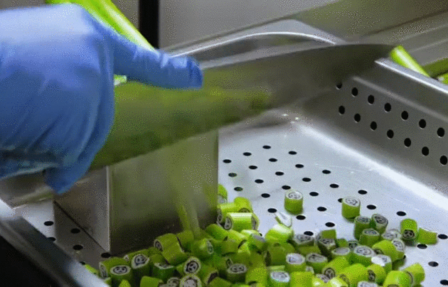 Гифки Гифки