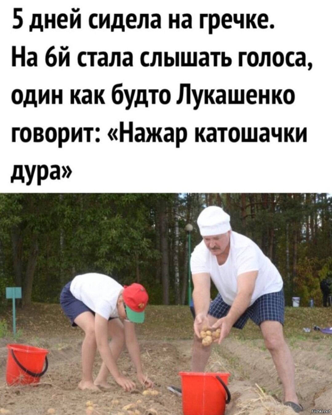 Не унижайся пожарь картошку