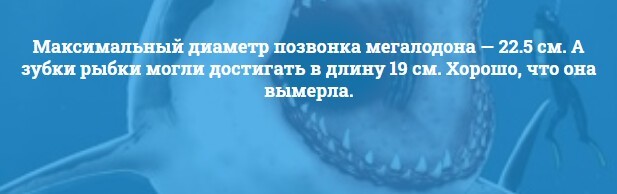 Интересные факты