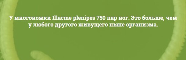 Тот факт что многие. Анекдоты про взаимоотношения. Синоним к слову дремучий. Анекдоты про отношения. Анекдоты про отношения между мужчиной и женщиной.