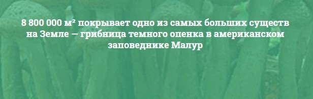 Интересные факты