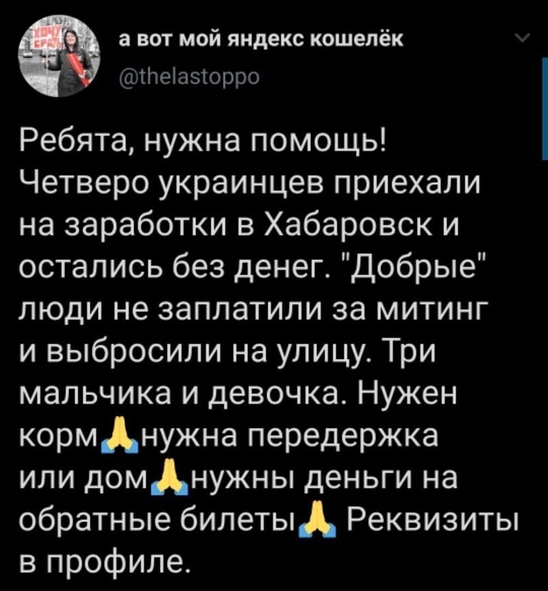 Политические комментарии из инета