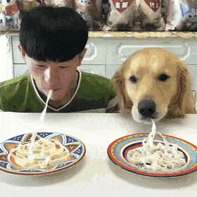 Собачьи гифки