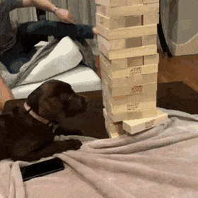 Собачьи гифки