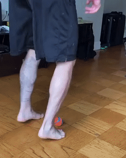 Собачьи гифки