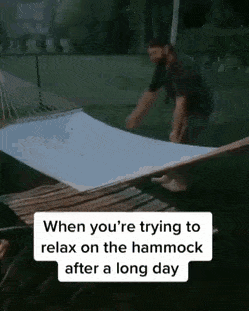 Собачьи гифки