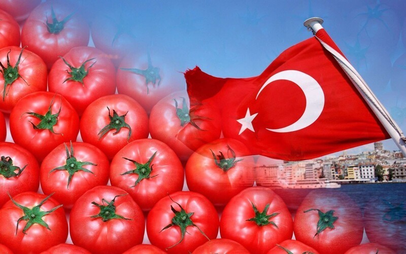 Некачественные турецкие помидоры заполонили российский рынок