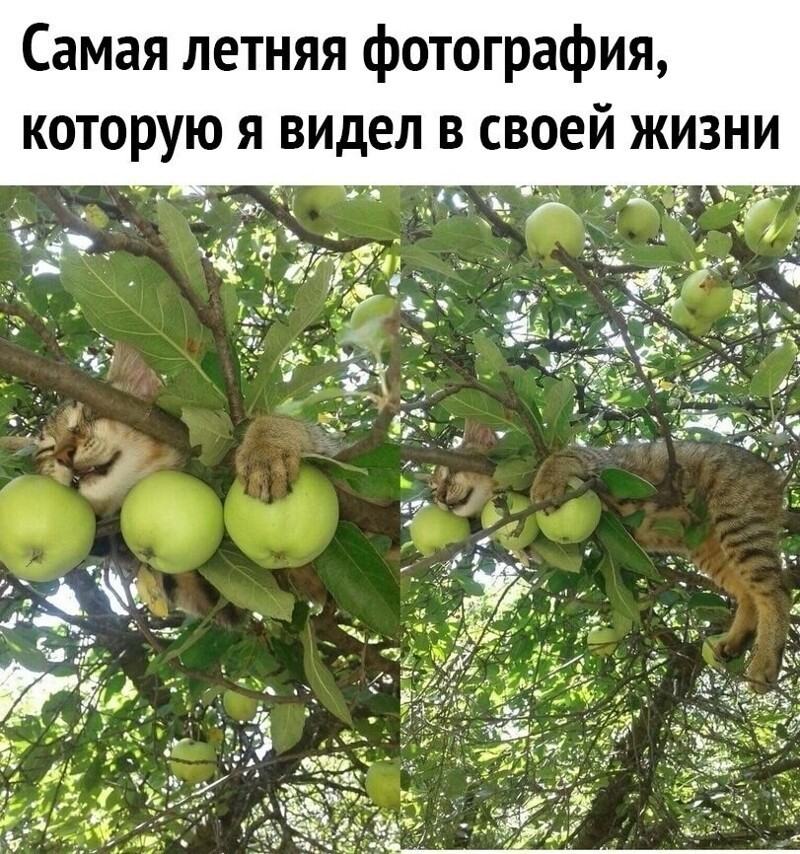 Хохотальня