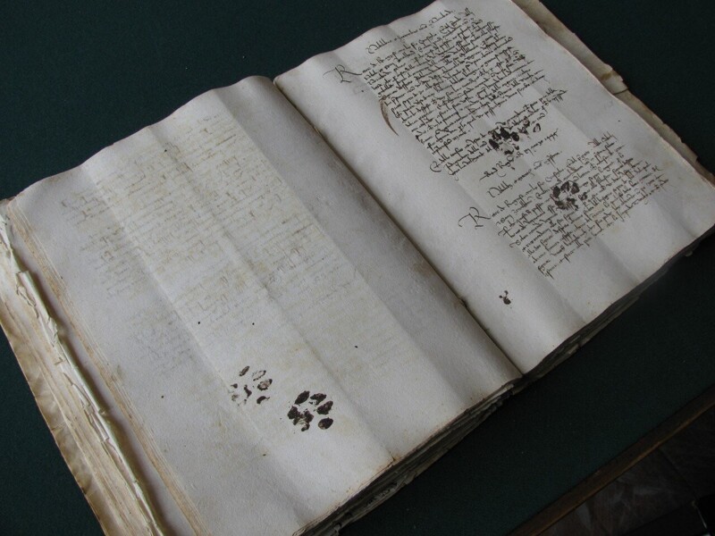 Следы кота на итальянской рукописи, оставленные в 1445 году.