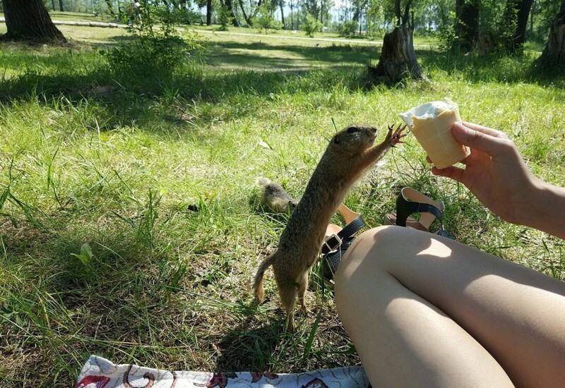 С добрым утром!