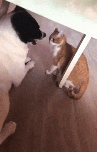 Нарывается на драку