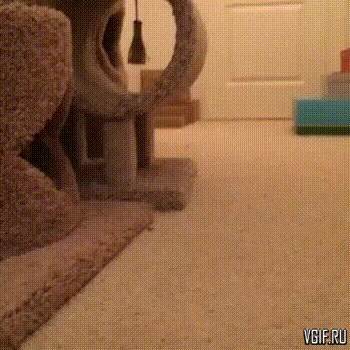 Гифки разные Гифки разные