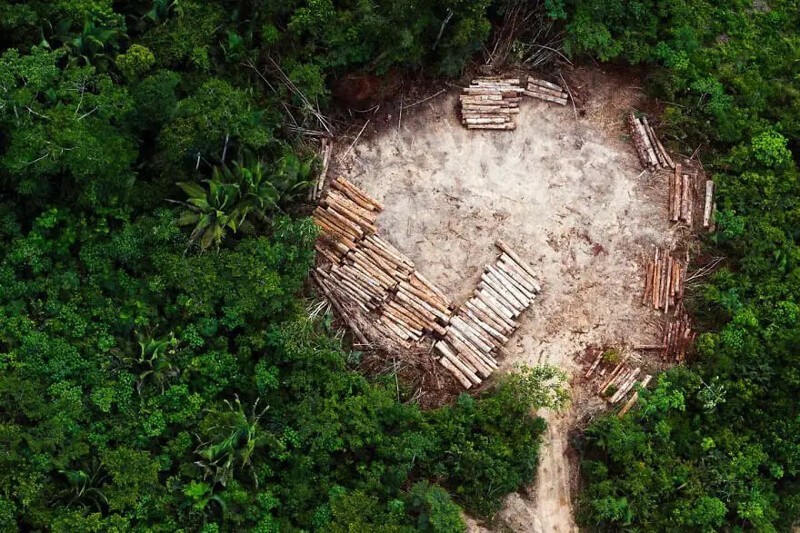 Вид с воздуха на землю коренных народов в районе Альтамира в бразильской Амазонке, очищенную для незаконной вырубки.