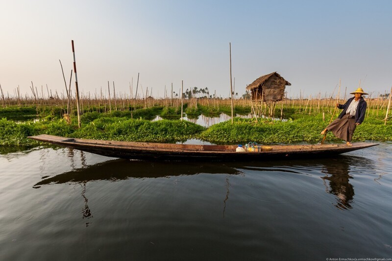 Бирма. Огороды озера Инле