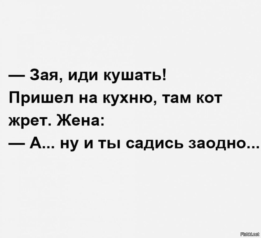 Пойти суть. Зая иди кушать пришел на кухню. Зая иди. Зая цитаты.