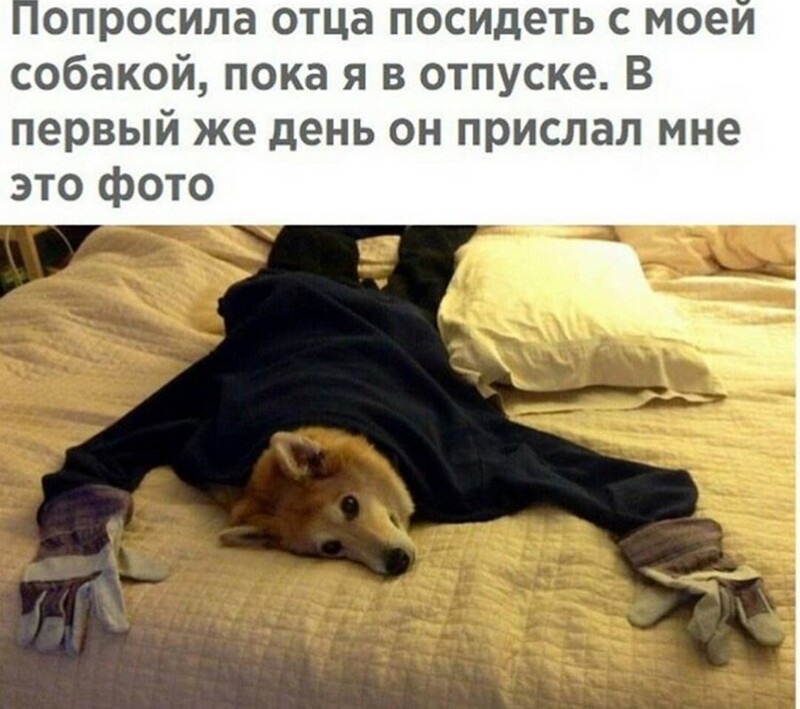 Всё вразнобой