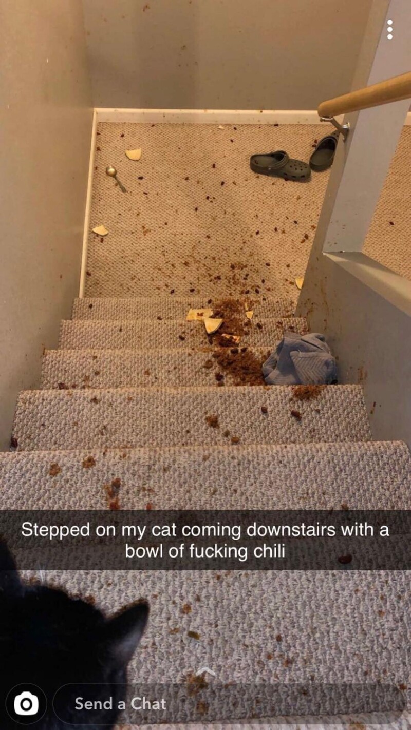 4. "Наступил на кошку, когда спускался вниз по лестнице с миской долбаного чили"
