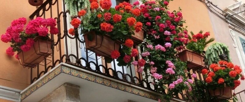 Администрация Петербурга запустила конкурс «Красивый балкон»