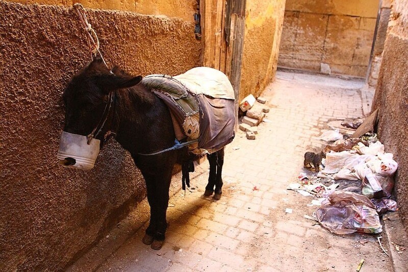 Фес — старейший имперский город Марокко