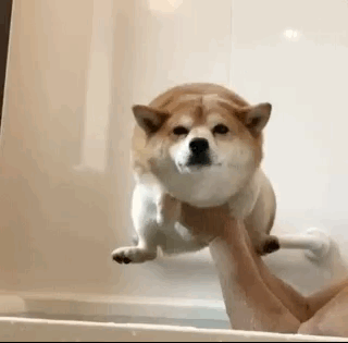 С добрым утром!