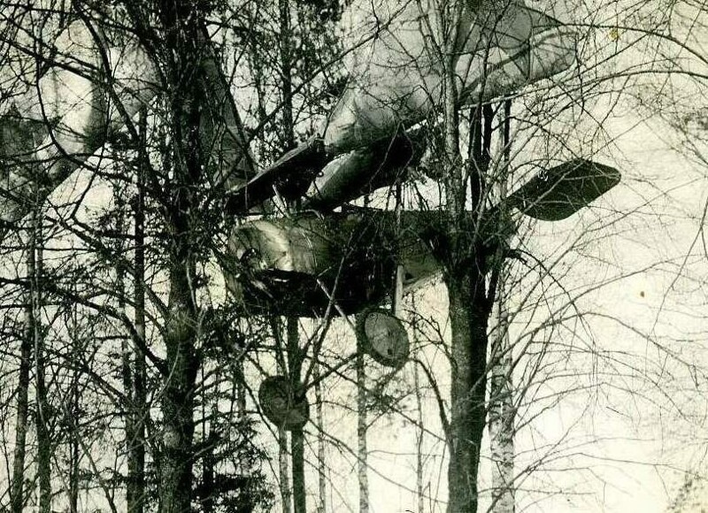 Ньюпор 21 сел на лес, пилот Иванов город Гжатск, 1920 год.