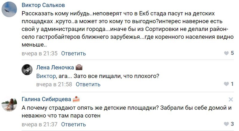 В Екатеринбург привезли две фуры баранов - местные жители недовольны