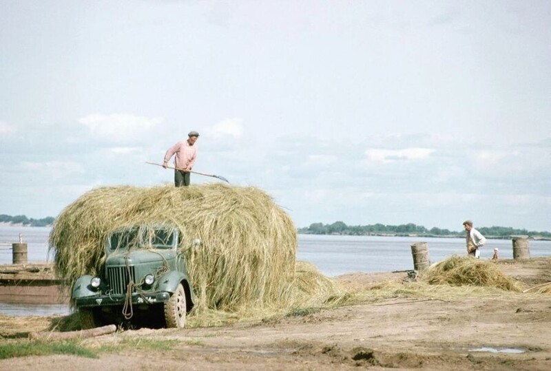 Процесс заготовки сена в окрестностях Владивостока. Середина 60-х годов. 