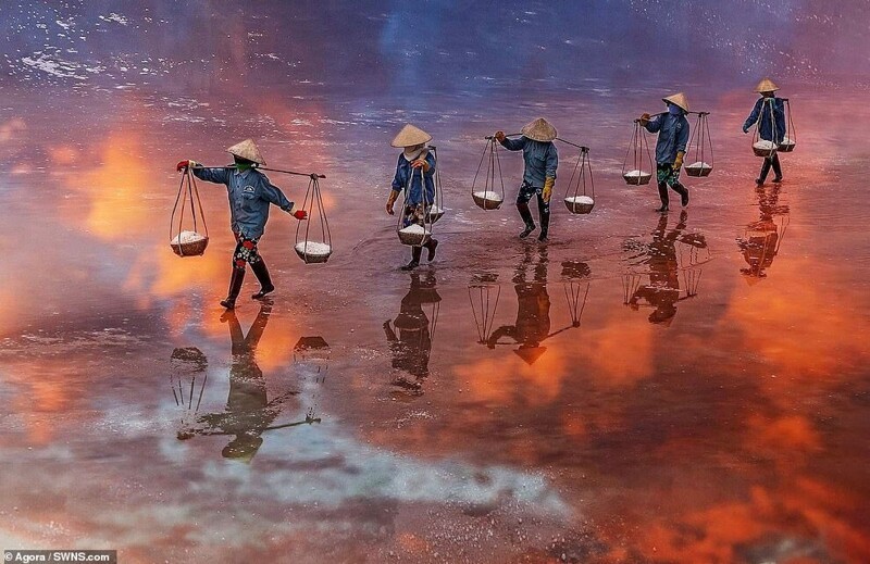Сборщики соли, Вьетнам: