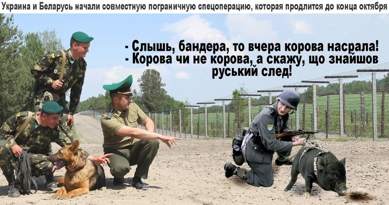 Политические комментарии из инета