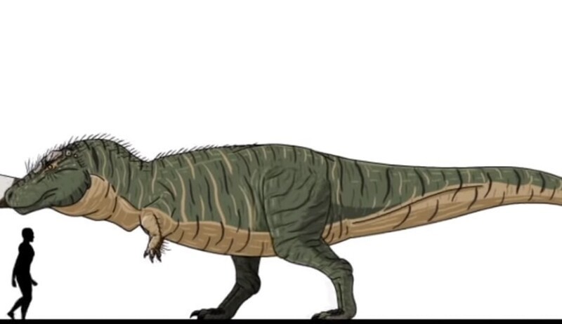 19. Тираннозавр