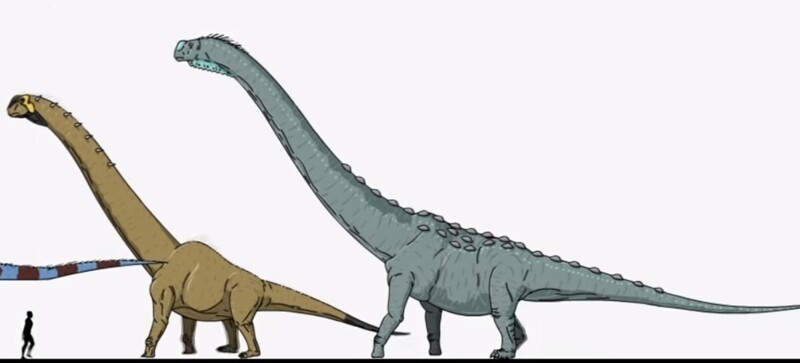 20. Завропосейдон и аргентинозавр (и хвост апатозавра)