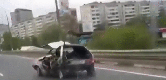 Гифки Гифки