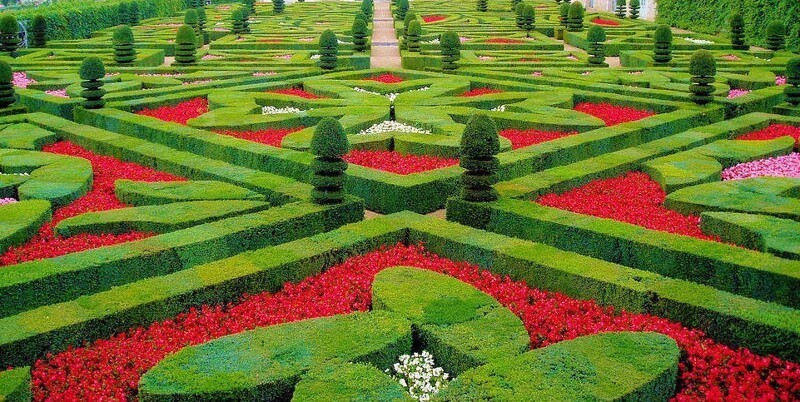 Сад Вилландри во Франции