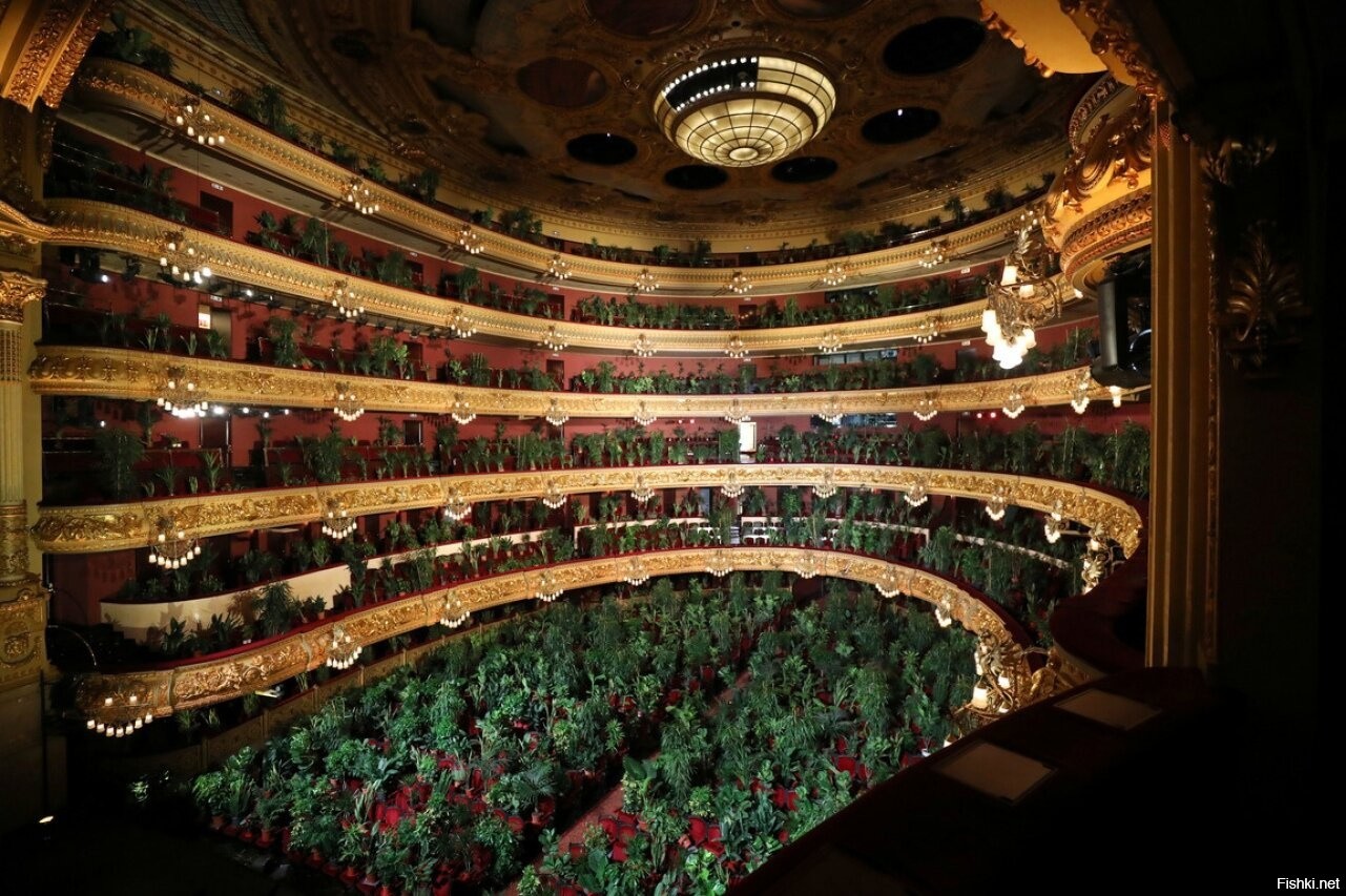 Гран театр Лисео в Барселоне