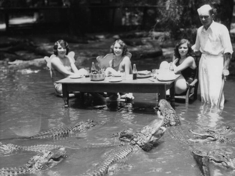 Эти женщины, как обычно загорают и наслаждаются пикником прямо в небольшом бассейне в окружении аллигаторов. Видимо, вон тот торт на краю стола – тоже для аллигаторов