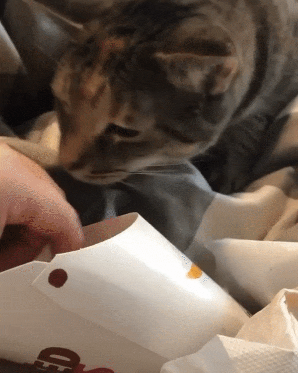 Любитель жареной картошечки