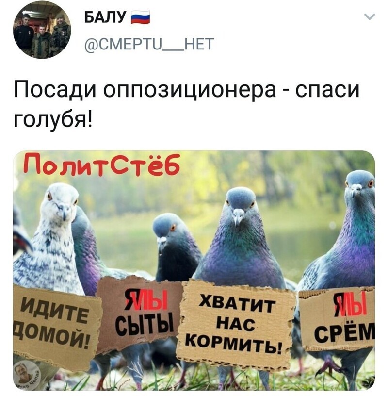 Политические комментарии из инета