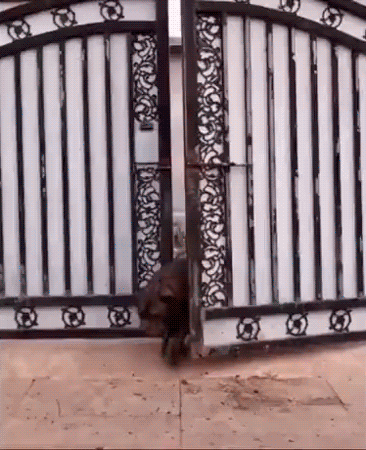 Хорошо прогулялись