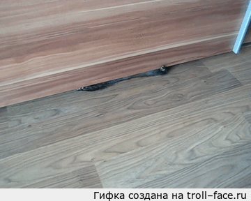 Гифки разные