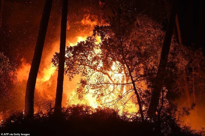Пожар в курортном французском городе Англет, который начался из-за засухи и уничтожил 165 гектаров соснового леса