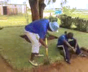 Гифки разные