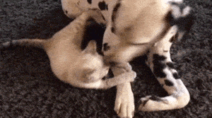 Гифки разные