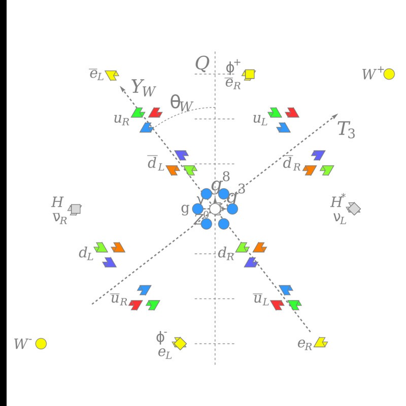Характер слабого изоспина T3 и слабого гиперзаряда Y_W и цветового заряда всех известных элементарных частиц, повернутых на угол слабого смешения, чтобы показать электрический заряд Q, приблизительно вдоль вертикали.